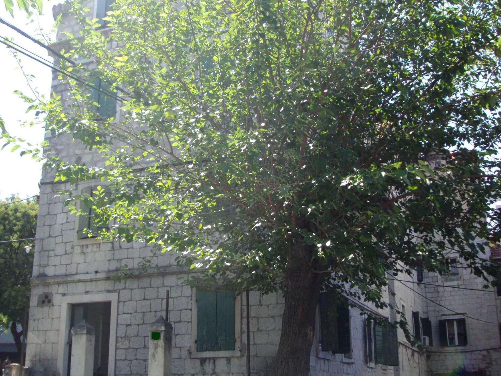 Apartman Sretna -